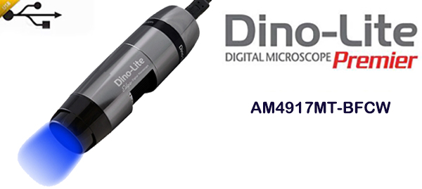 AM4917MT-BFCW