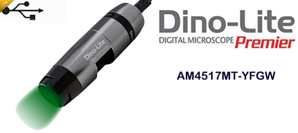 AM4517MT-YFGW