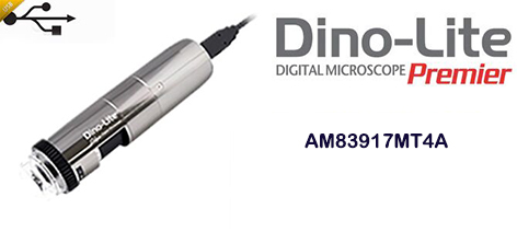 AM83917MT4A