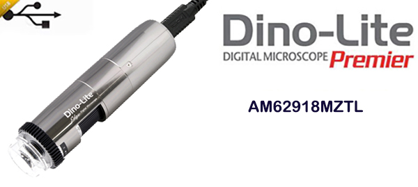 AM62918MZTL